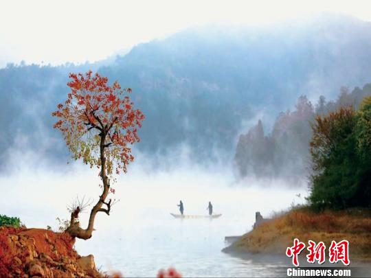 浙江浦江鄉(xiāng)村逆襲記：精耕細(xì)作煥新顏 青山綠水入畫(huà)來(lái)。浦江縣農(nóng)辦提供