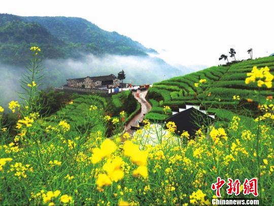 浙江浦江鄉(xiāng)村逆襲記：精耕細(xì)作煥新顏 青山綠水入畫(huà)來(lái)。浦江縣農(nóng)辦提供
